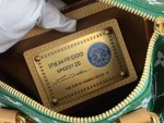 LOUIS VUITTON SPEEDY25 P9 BANDOULIÈRE 25 Green - Image 10