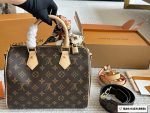 LOUIS VUITTON SPEEDY25 BANDOULIÈRE 25cm - Image 5