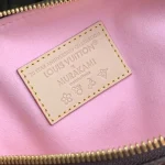 LOUIS VUITTON MURAKAMI LV X TM SPEEDY25 BANDOULIÈRE 25 M14174 (25*19*15cm) - Image 9
