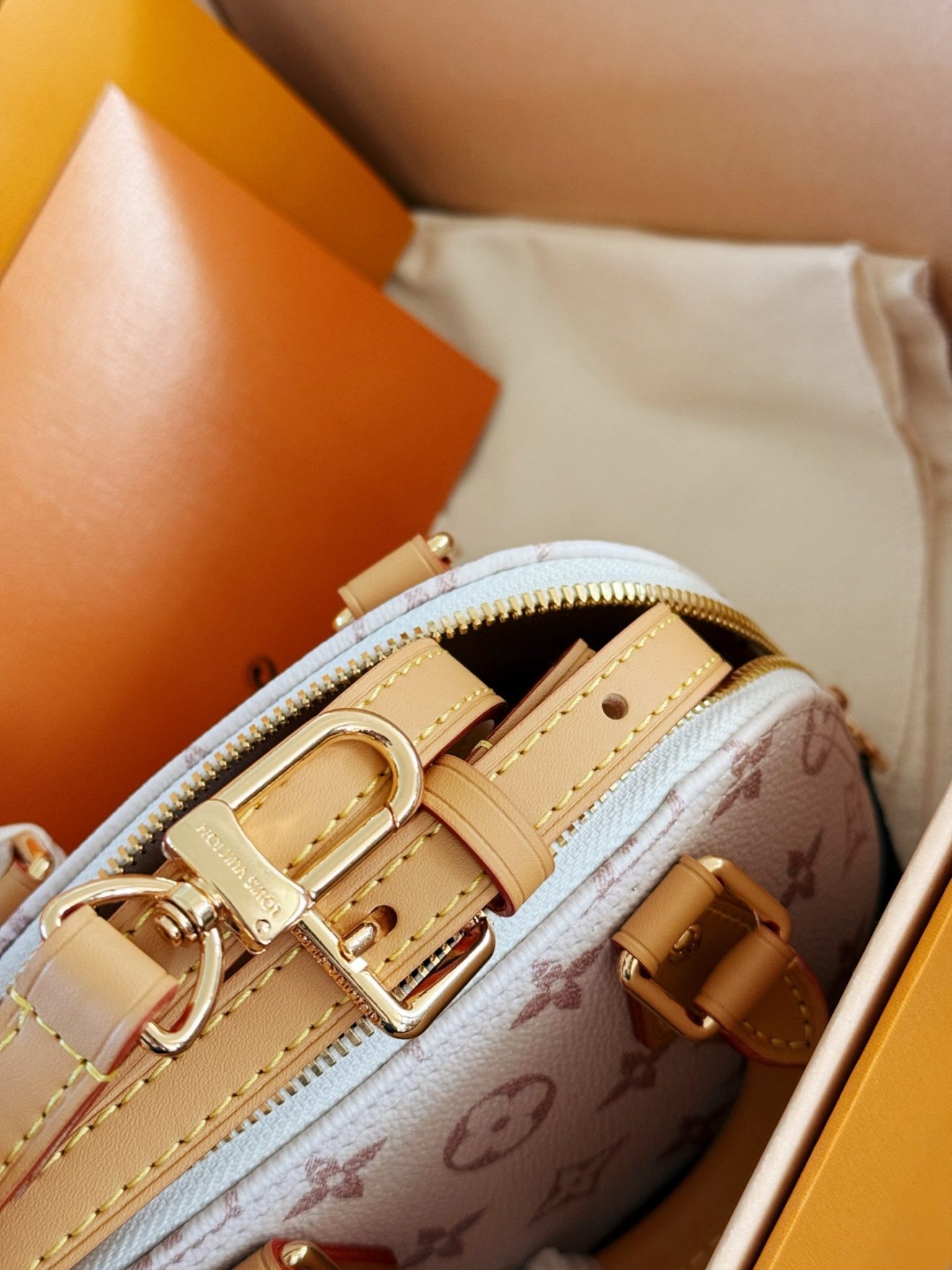 LOUIS VUITTON NANO ALMA  (20*14*8cm) - Image 9