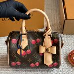 Louis Vuitton LV cherry  Speedy20 murakami size : 20 cm