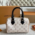 Louis Vuitton LV Speedy20cm