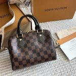 louis vuitton lv Speedy20 brown checker