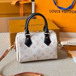 louis vuitton lv Speedy20 lucky