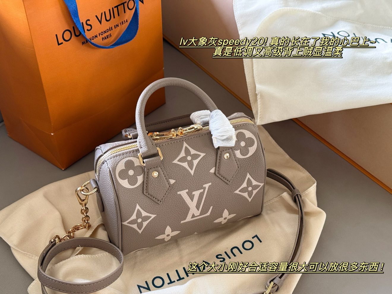 louis vuitton lv Speedy20 grey - Image 2