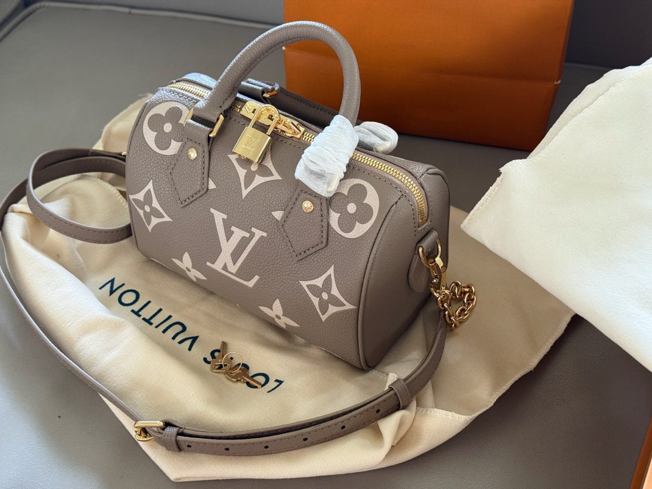 louis vuitton lv Speedy20 grey - Image 5