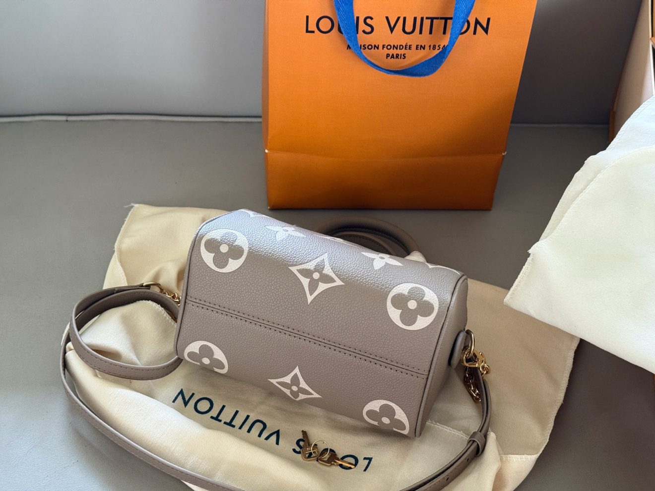 louis vuitton lv Speedy20 grey - Image 7
