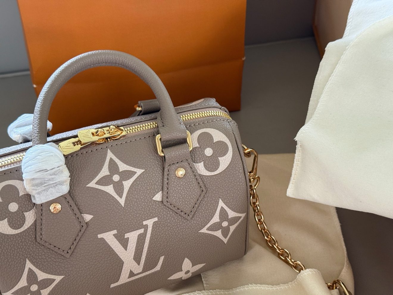 louis vuitton lv Speedy20 grey - Image 10