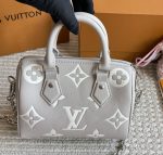 louis vuitton lv Speedy20 grey with white