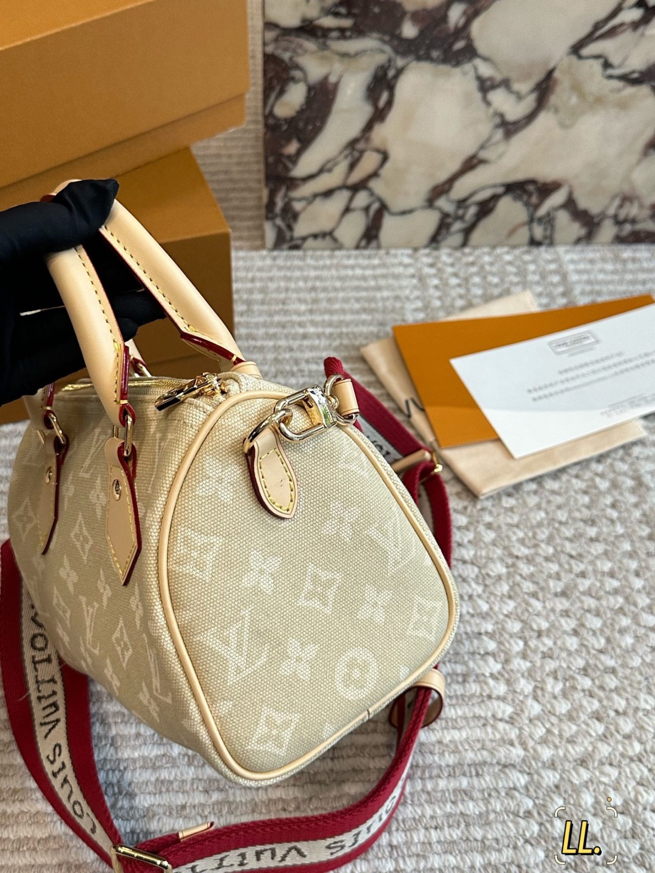 louis vuitton lv Speedy20 Grace Coddington - Image 5
