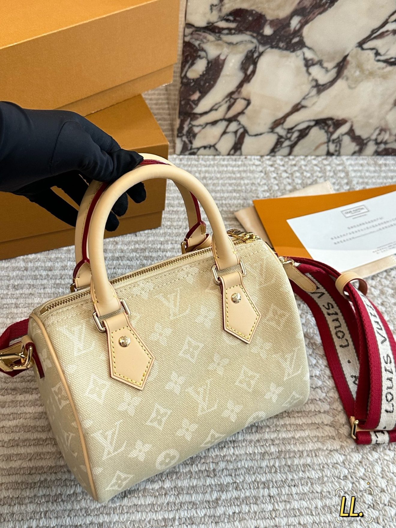 louis vuitton lv Speedy20 Grace Coddington - Image 6