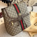 Gucci Ophidia backpack 29cm