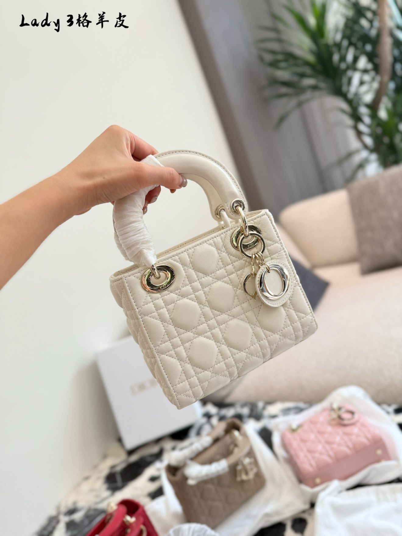 Lady dior golden hardware 5 colors 17cm - Image 4