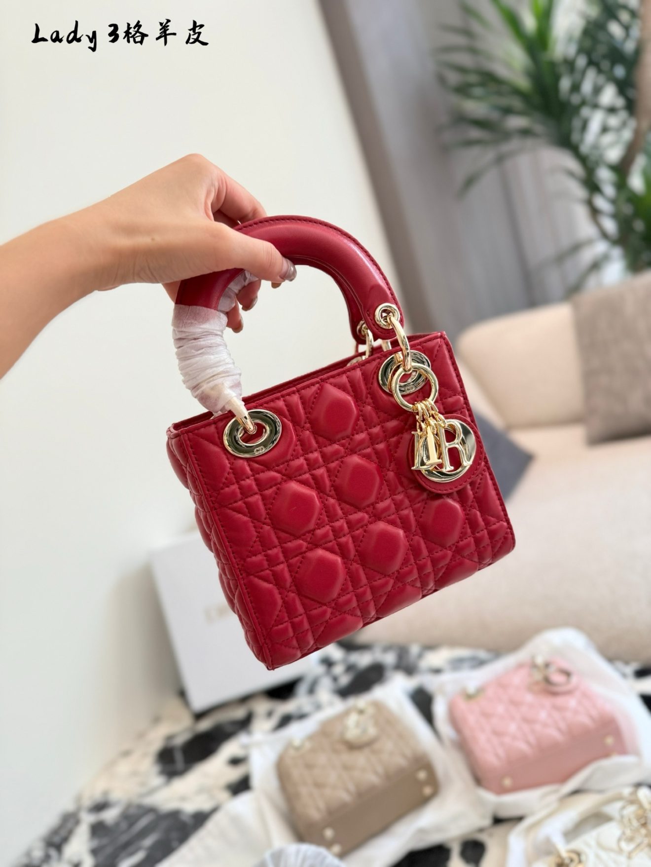 Lady dior golden hardware 5 colors 17cm - Image 6