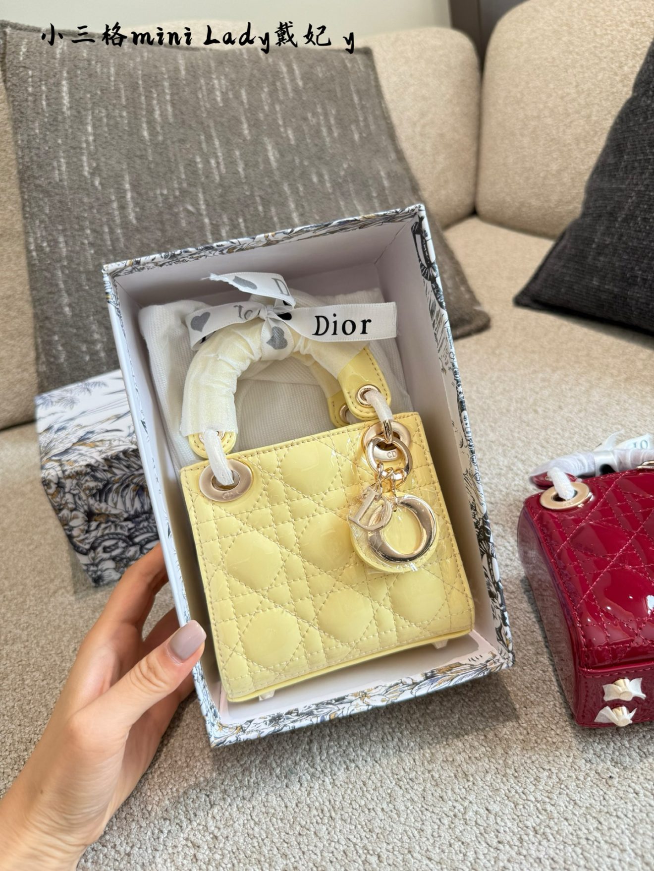 Micro Lady Dior Pattern Leather in gold hardware 12cm - Image 3