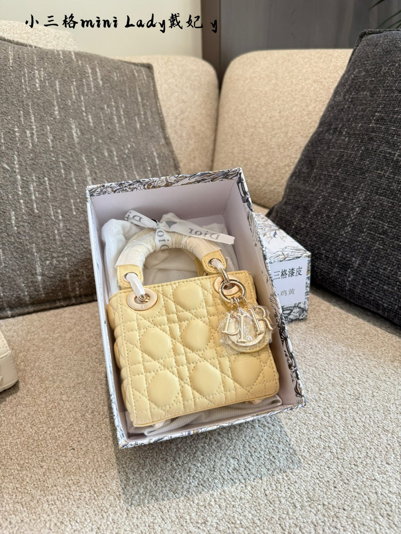 Micro Lady Dior gold hardware 12cm (7 colors) - Image 4