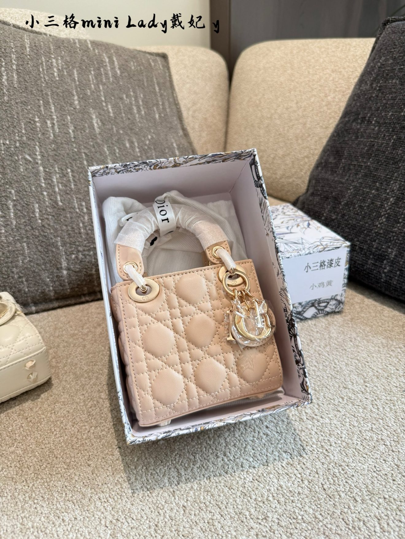 Micro Lady Dior gold hardware 12cm (7 colors) - Image 7