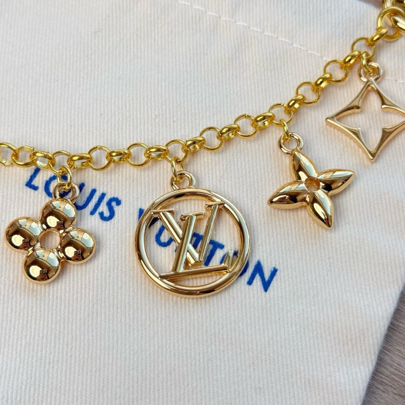 LOUIS VUITTON lv Charm - Image 5