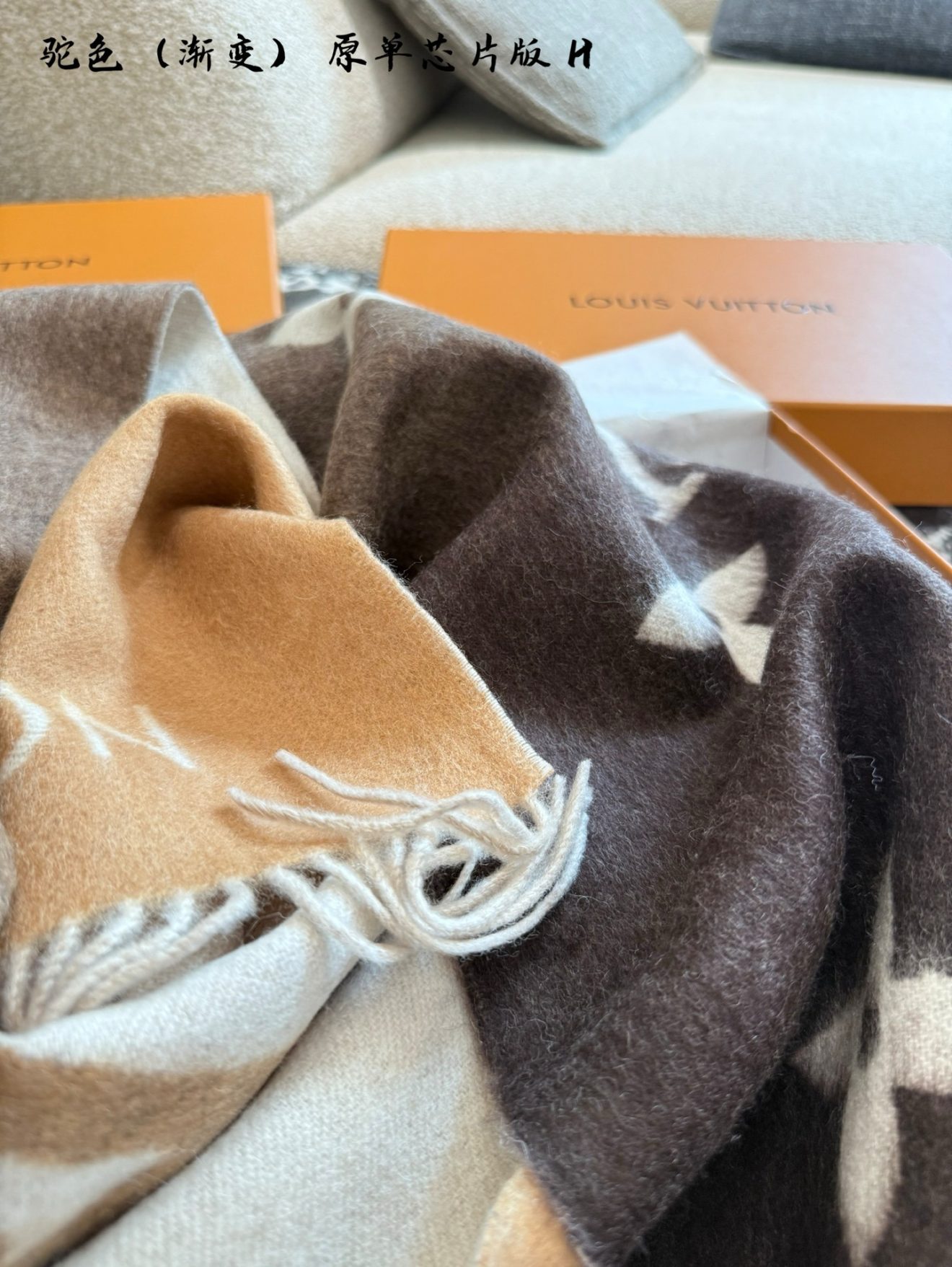 LOUIS VUITTON lv Scarf - Image 5