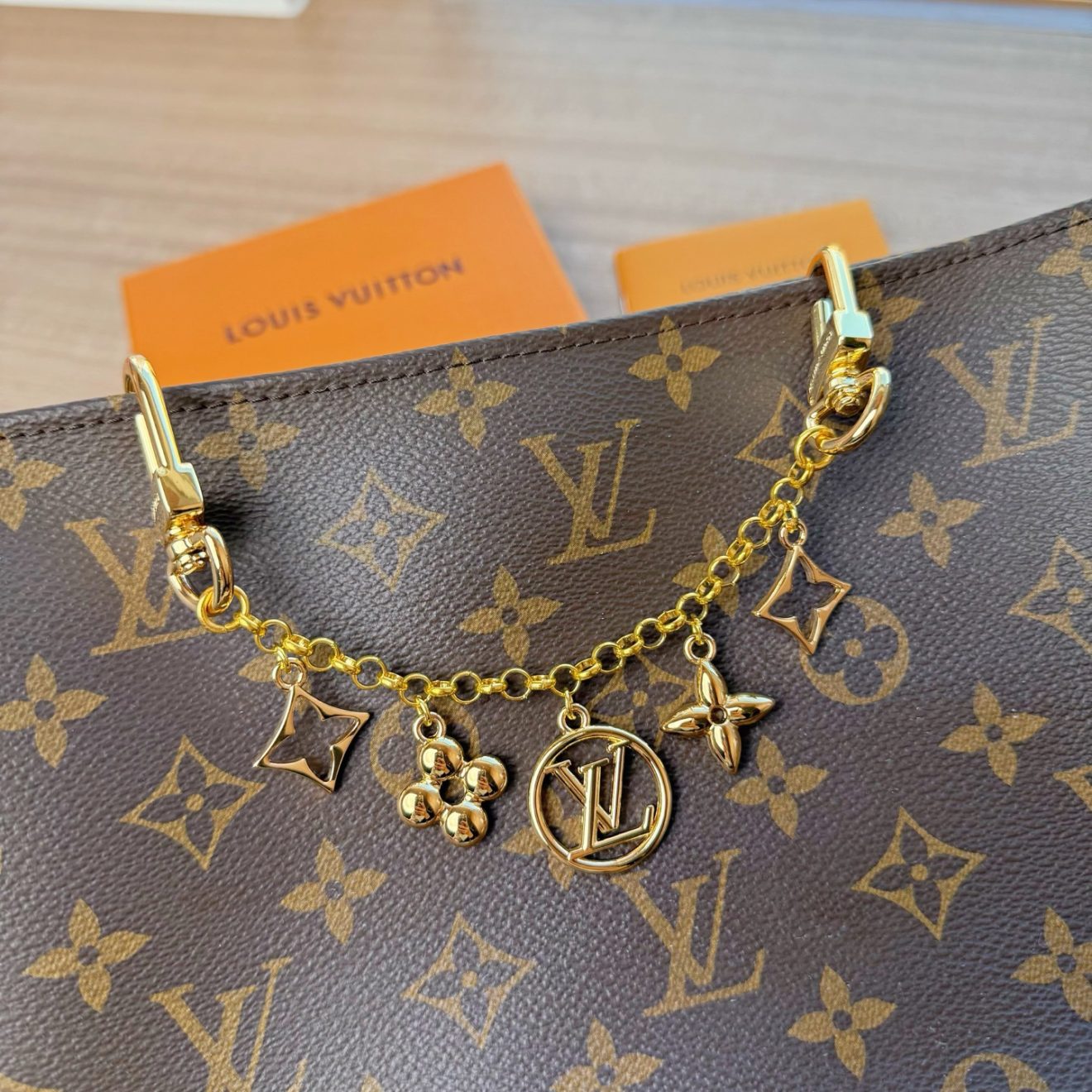 LOUIS VUITTON lv Charm - Image 6