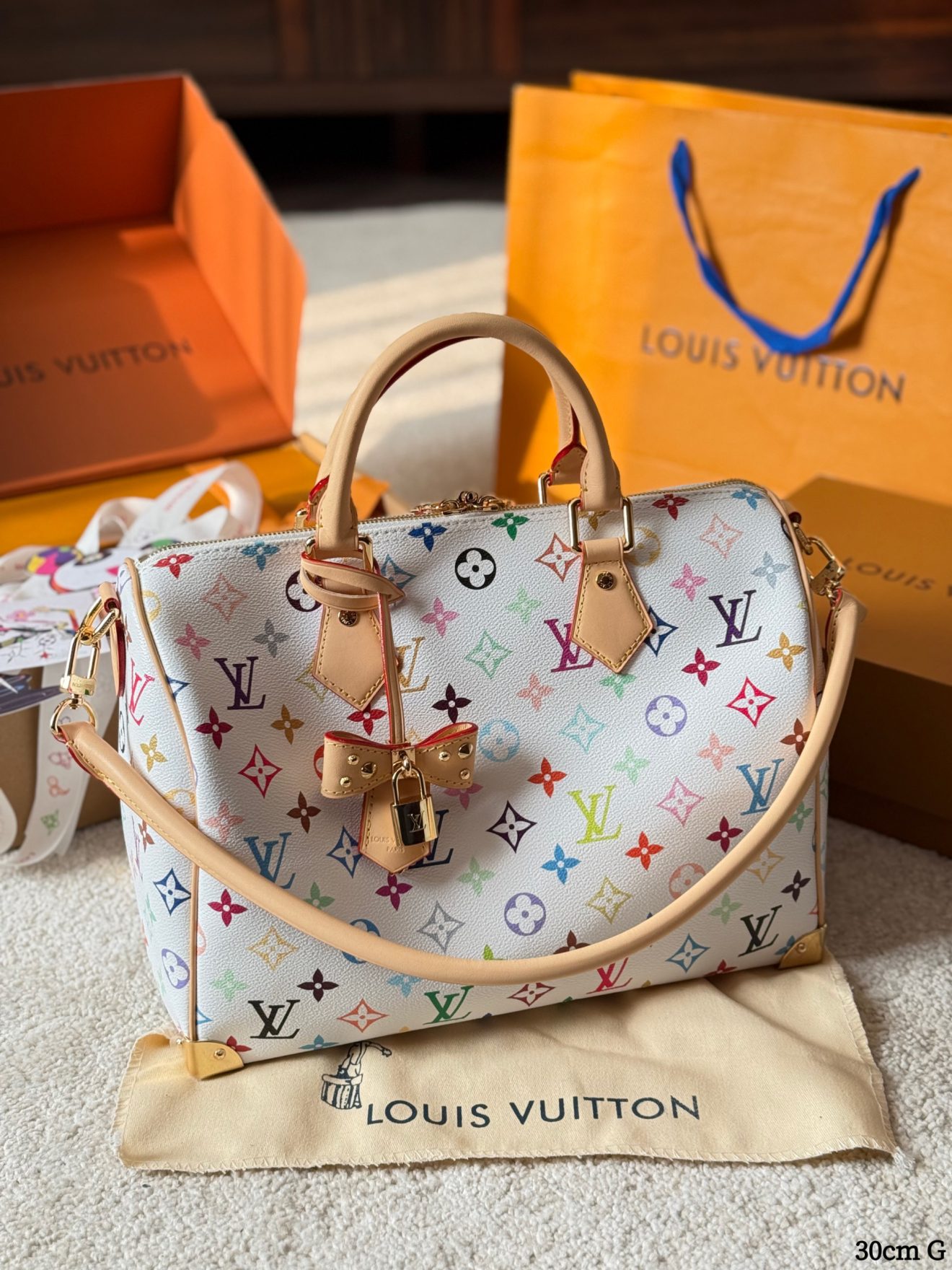 LOUIS VUITTON lv SPEEDY30 murakami