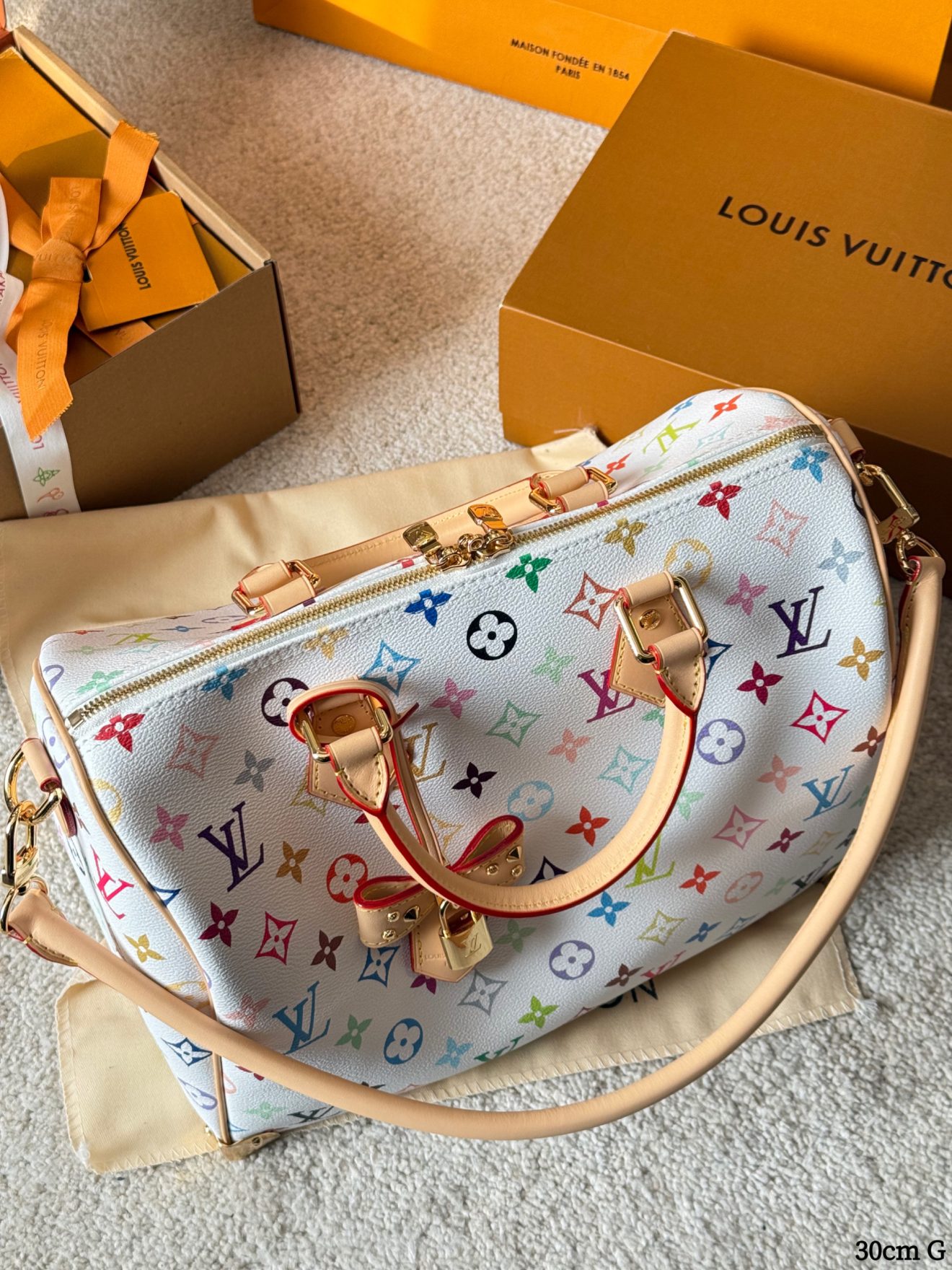 LOUIS VUITTON lv SPEEDY30 murakami - Image 9