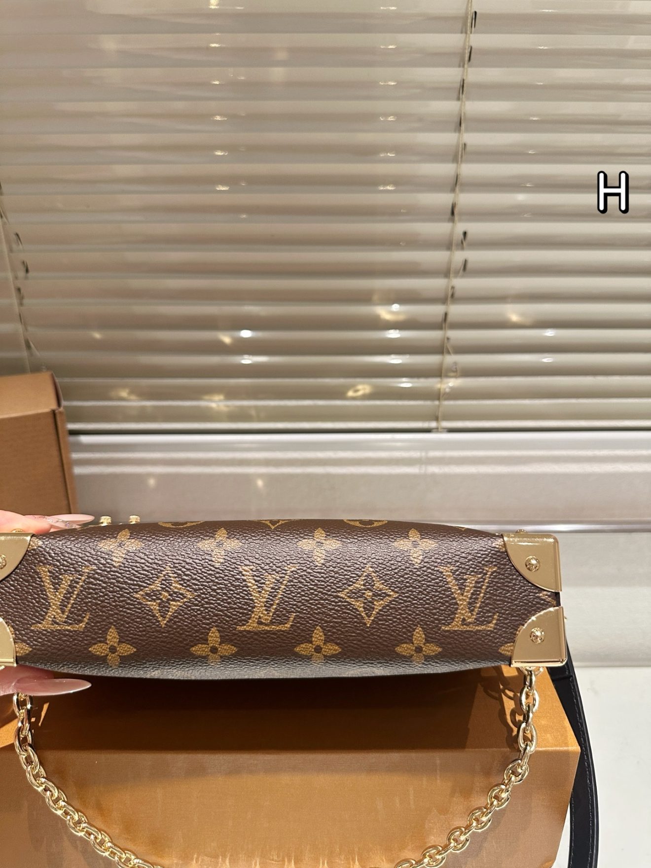 LOUIS VUITTON lv BAG SIZE :23 x 11cm - Image 10