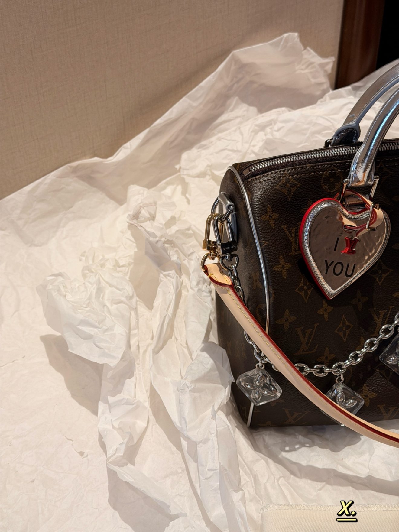 LOUIS VUITTON lv speedy30 - Image 8