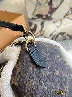 LOUIS VUITTON lv speedy30 - Image 5