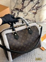 LOUIS VUITTON lv speedy30
