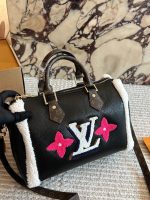 LOUIS VUITTON lv speedy30