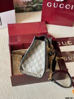 GUCCI PACKLACK  SIZE : 30 X23cm , 25 X 18cm - Image 9