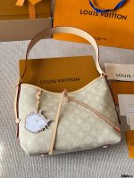 louis vuitton lv carryall bag size : 30 x 20cm - Image 4