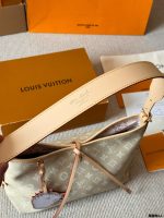 louis vuitton lv carryall bag size : 30 x 20cm - Image 5