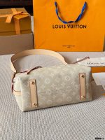 louis vuitton lv carryall bag size : 30 x 20cm - Image 6