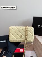 CHANEL 22B WOC BAG SIZE : 19X13 CM - Image 5