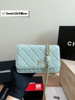 CHANEL 22B WOC BAG SIZE : 19X13 CM
