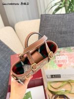 Gucci mini emblem size : 17 cm - Image 7
