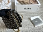 DIOR SADDLE woc SIZE : 22*13 cm - Image 4