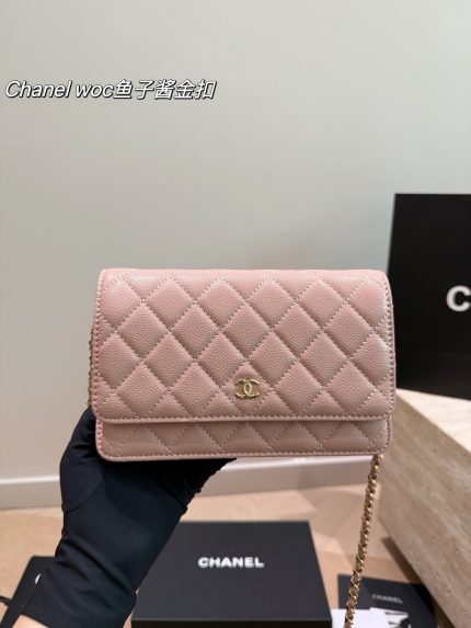 CHANEL CF WOC size：20*13cm
