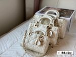 DIOR LADY DIOR JOY  SIZE : 26/ 22 / 17 cm