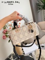 DIOR lady dior joy size :22 X 12cm