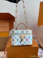 LOUIS VUITTON lv Vanity Chain Pouch SIZE : 19 X 12cm