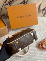 LOUIS VUITTON lv BAG  SIZE :  21 X 12cm - Image 7