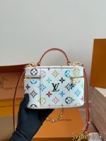 LOUIS VUITTON lv Vanity Chain Pouch SIZE : 19 X 12cm - Image 6
