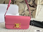 Celine triomphe hobo bag size：20*11cm - Image 2