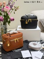 Celine vanity crossbody bag