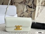 Celine triomphe hobo bag size：20*11cm - Image 5