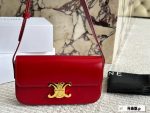 Celine triomphe hobo bag size：20*11cm - Image 5