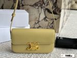 Celine triomphe hobo bag size：20*11cm - Image 6